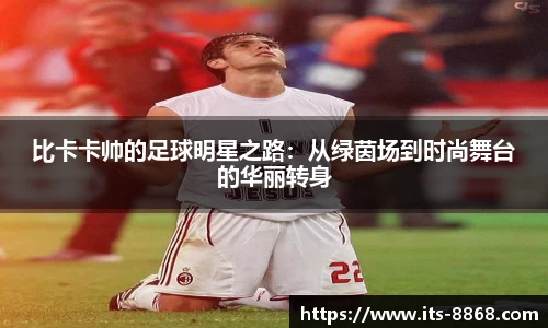 8868体育官方网站